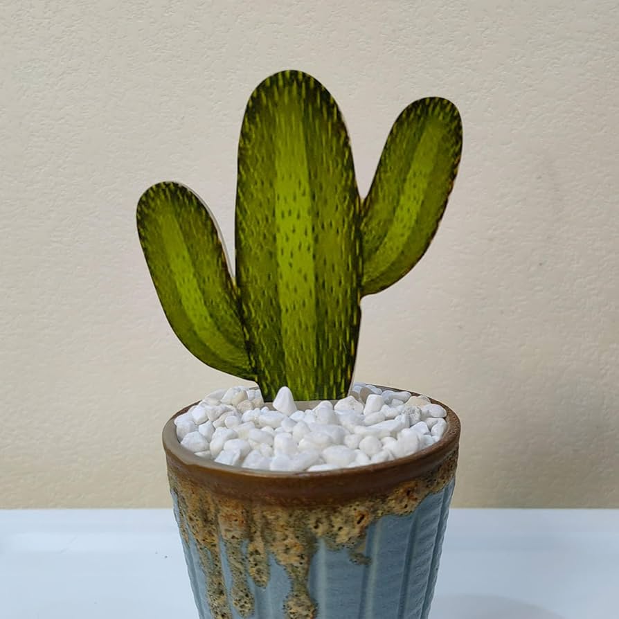 Amazon｜YEZILUU 3つの組み合わせ 多肉植物 多肉植物 ステンド